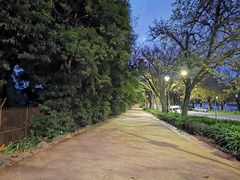 -墨尔本皇家植物园