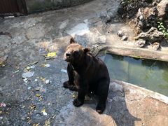 -赭山公园