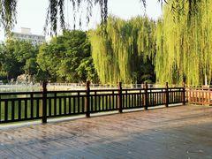 -莲湖公园