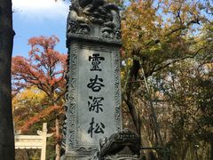 -灵谷景区