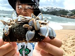 -赤柱市集