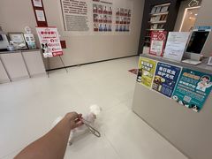 -御宝贝24h宠物医院·转诊中心·CT核磁血透中心(厦门总院)