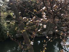 -同里国家湿地公园