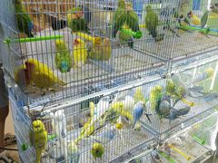 -三旗百汇商品城