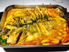 -鱼酷活鱼烤鱼(沈阳大悦城店)