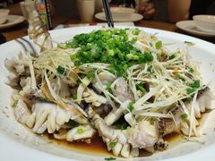 -三猫黑鱼花(南大店)