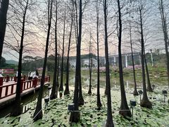 -广州汇华希尔顿逸林酒店