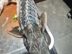 -涿派·炝锅鱼(涿州店)