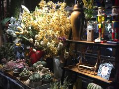 -范设计花园餐酒咖·中西餐·咖啡厅·酒馆
