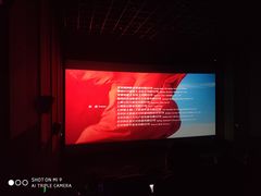 -上影国际影城(普陀绿地缤纷城店)