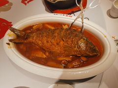 -阿五黄河大鲤鱼(英协路店)