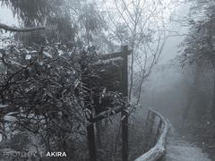 -东天目山风景区