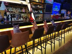 -Famous肥猫墨西哥音乐餐吧(五棵松华熙LIVE店)