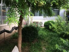-北京大学口腔医院(魏公村总院)