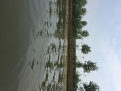 白洋淀风景区-白洋淀风景区