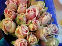 -双季花艺园艺市场(浦东店)