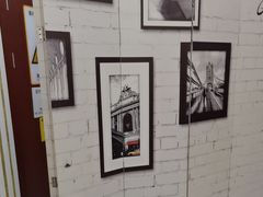 -泰康拜博口腔(世博园乐尔店)