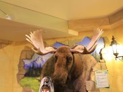 -信不信由你博物馆