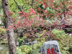 -上海醉白池公园