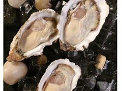 -金海湾海鲜总店