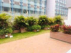 -香港大学