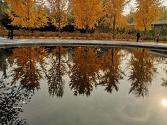 -莲花池公园
