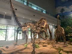 -自贡恐龙博物馆