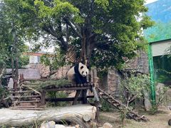 -灵玲国际马戏城