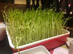 -番食园鲜食火锅(高新店)