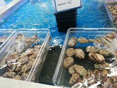 -盒马X会员店(上海森兰商都店)