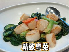 XO酱青椒炒带子花枝片-恒悦轩·粤菜(上海展览中心店)