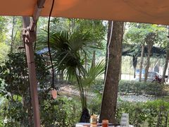 -二荆条·蜀鲜汇城市森林火锅