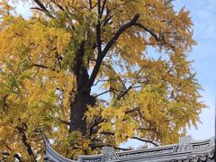 -惠山古镇·寄畅园