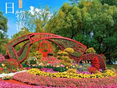 -上海共青森林公园