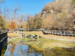 -白水寺森林公园