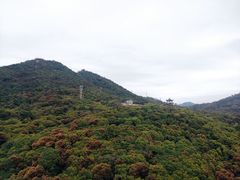 -清溪大王山森林公园