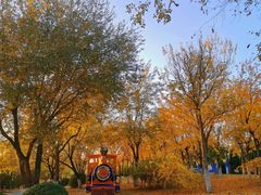 -永定河休闲森林公园