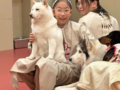 -和它·交个朋友·狗咖猫咖(爱琴海店)