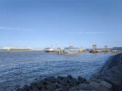 -上海吴淞炮台湾国家湿地公园