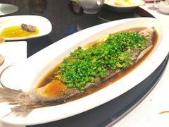 -新雅粤菜馆(南京东路店)