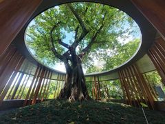 -云溪植物园