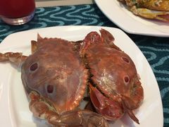 三点蟹-瑞德姆美人鱼海底演艺主题餐厅(亚龙湾店)