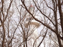 -烟台山景区