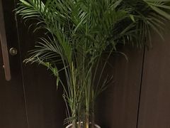 -小仙女采耳·按摩·SPA(深圳旗舰店)