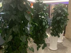 -郑州新郑国际机场T2航站楼-贵宾厅B区