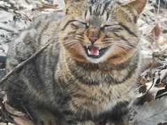 -终南山南五台景区