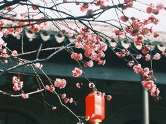 -无锡梅园公园