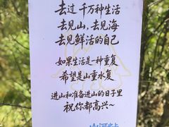 -王莽岭风景区