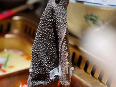-九鼎轩脆毛肚火锅(三钢里店)