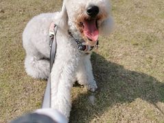 -杭州城北体育公园